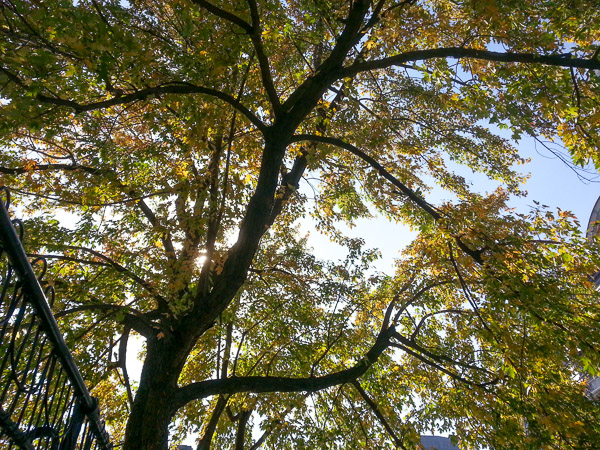 Montreal, Quebec, Canada